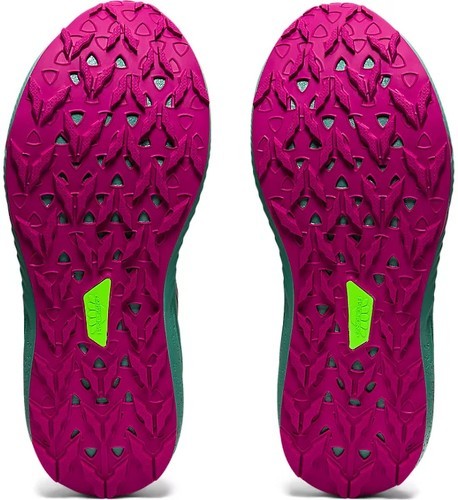 ASICS-Fuji Lite 2-1