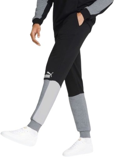 PUMA-Fd Ess Block - Pantalon-3