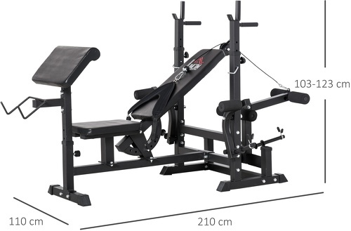 HOMCOM-Banc de musculation multifonction réglable - pupitre à biceps, repose barre curl, poignées à Dips, module extension bras jambes, résistance horizontale - acier noir-2