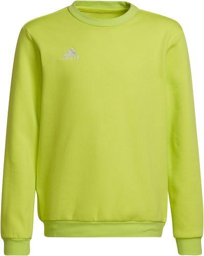 adidas Performance-Haut de survêtement Entrada 22-0