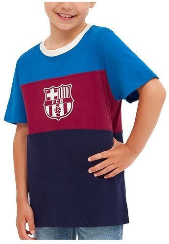 BarÇa-Barça Crest-2