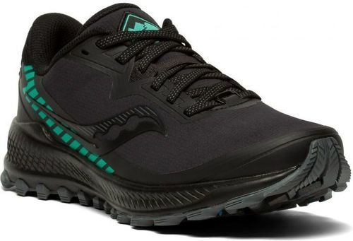SAUCONY-Peregrine ICE+ 2-1