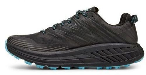 HOKA ONE ONE-Speedgoat 4 Gore-Tex-1