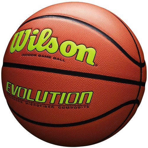 WILSON-Wilson Evolution - Ballons de basketball-1