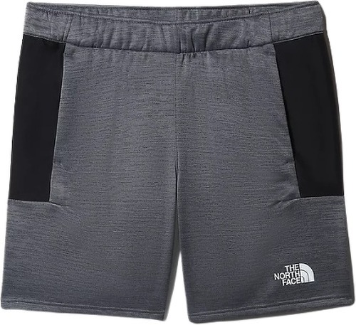 THE NORTH FACE-The North Face Ma Fleece - Short de running-0