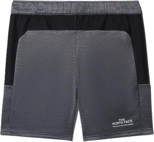 THE NORTH FACE-The North Face Ma Fleece - Short de running-1