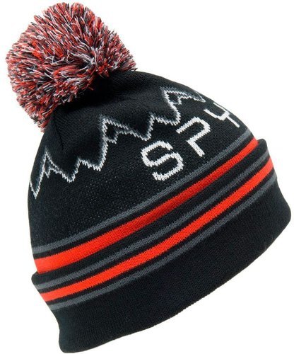 SPYDER-Icebox - Bonnet de ski-1