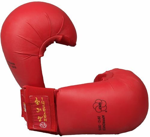 HAYASHI-Karate Gloves "Tsuki" , - Gants de karaté-1