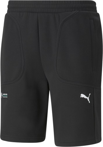 PUMA-Puma MAPF1-0