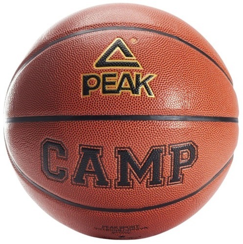 Peak-Ballon Peak camp-0