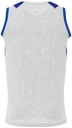 ERREA-ALLEN SINGLET AD-1