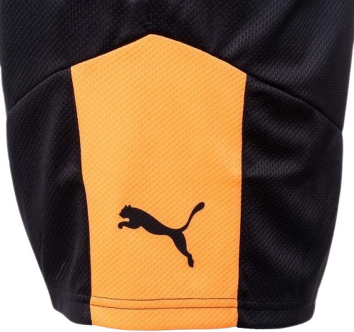 PUMA-Puma Individual Final - Short de football-2