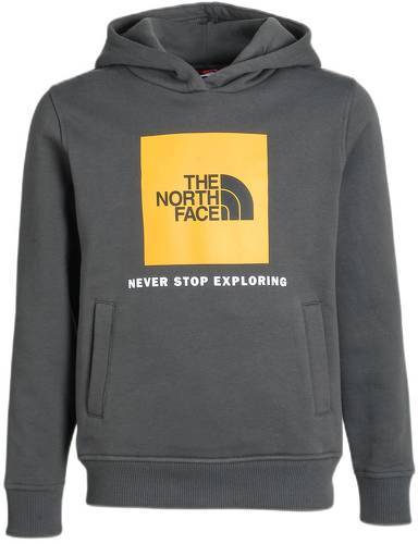 THE NORTH FACE-Box Hoodie Kids-image-1