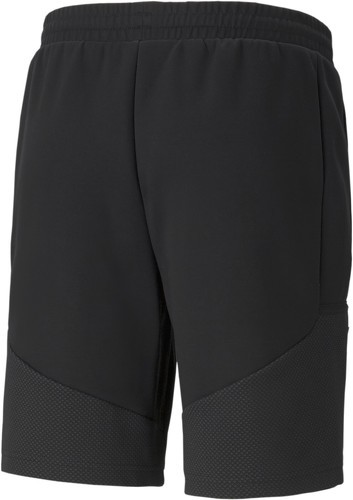 PUMA-Puma MAPF1-1