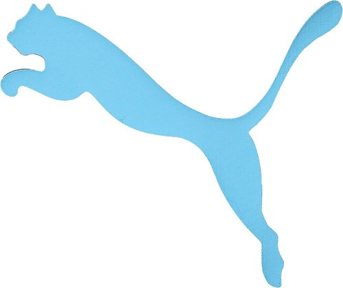 PUMA-Puma Rencontre Manchester City Fc Pre 21/22-4