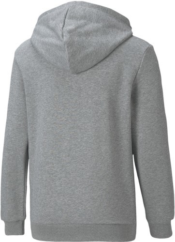 PUMA-Bmw Motorsport - Sweat-1
