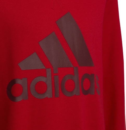 adidas Sportswear-Sweat-shirt Essentials-3