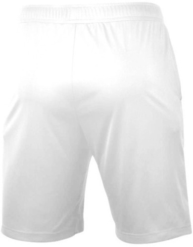 MIZUNO-Mizuno Team Nara Train - Short-1