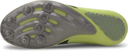 PUMA-EvoSpeed Sprint 10-1