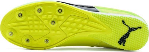 PUMA-EvoSpeed Triple Jump PV 6-1