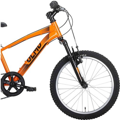 OLMO-Bicicletta Mountain Bike Sentiero 20-2