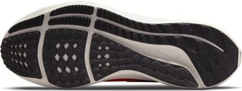 NIKE-Pegasus 39-1