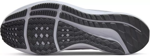 NIKE-Pegasus 39-1