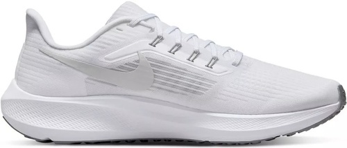 NIKE-Pegasus 39-2