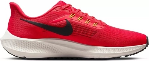NIKE-Pegasus 39-2