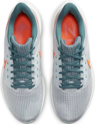 NIKE-Pegasus 39-4