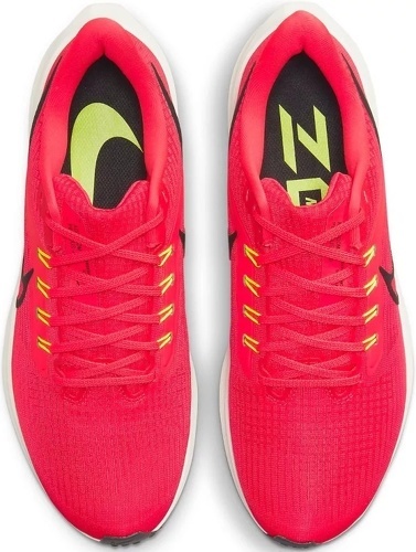 NIKE-Pegasus 39-3