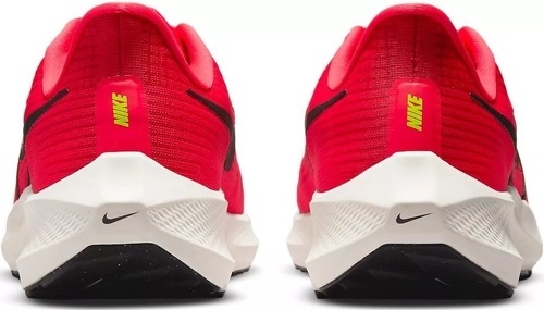 NIKE-Pegasus 39-4