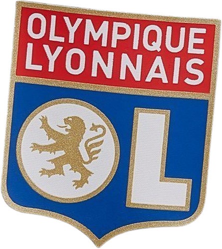 adidas Performance-Olympique De Lyon Training 2022-2023 - Pantalon de football-4