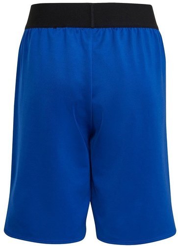 adidas Sportswear-Short Designed for Sport AEROREADY Training-1