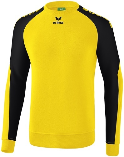 ERIMA-Essential 5-C - Sweat de handball-0