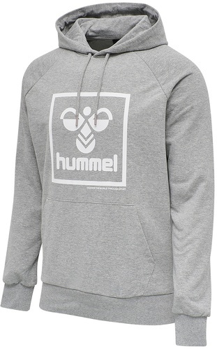HUMMEL-Sweatshirt à capuche Hummel hmlisam-image-1