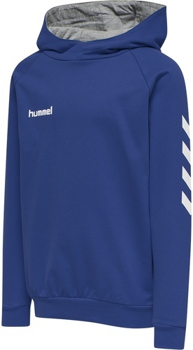 HUMMEL-Go - Sweat de handball-0