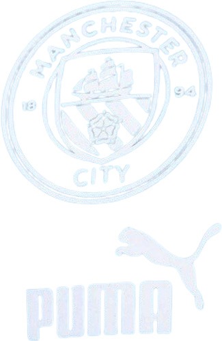 PUMA-Puma Manchester City Fc Fanswear 2022-2023 - T-shirt de football-2