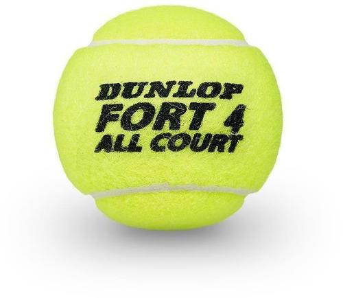 DUNLOP-Dunlop Balle Fort All Court Ts 2 Unités-3