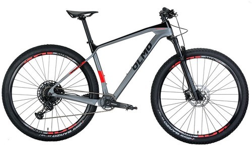 OLMO-Bicicletta BIGNONE SRAM SX EAGLE 1X12-image-1