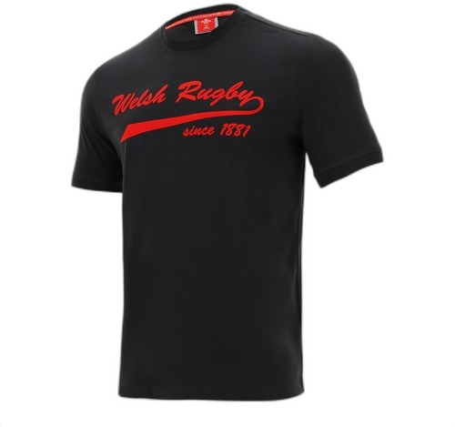 MACRON-T-shirt coton Pays de Galles rugby 2020/21-image-1