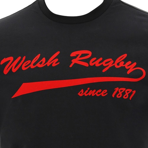 MACRON-Pays De Galles Rugby 2020/21 - T-shirt de rugby-2