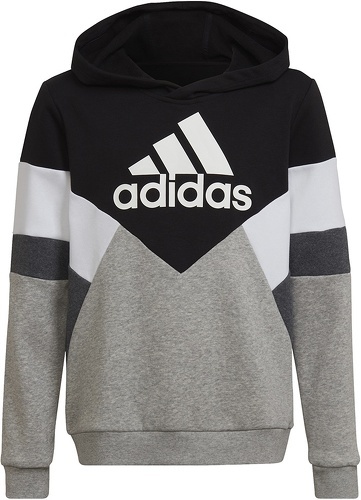 adidas Sportswear-Sweat-shirt à capuche Colorblock Fleece-0