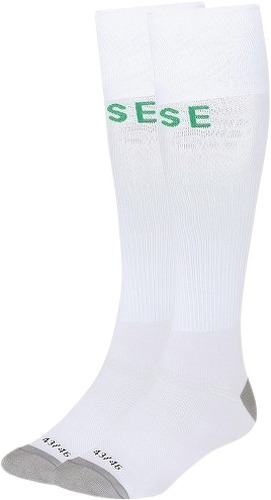 LE COQ SPORTIF-Asse Extérieur Le Coq Sportif 2020/2021 - Chaussettes de football-0