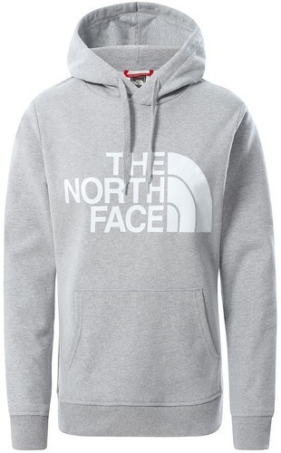 THE NORTH FACE-W Standard Hoodie TNF Light-image-1