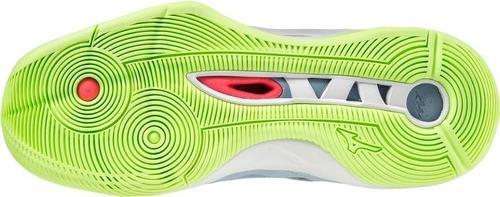 MIZUNO-Wave Momentum 2-1