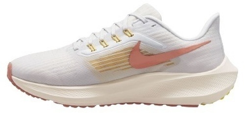 NIKE-Pegasus 39-2