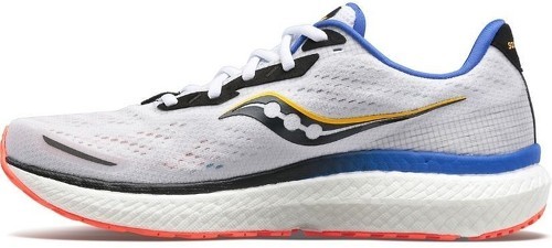 SAUCONY-Triumph 19-1