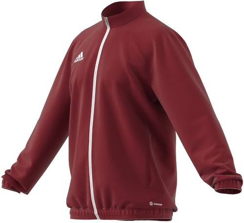 adidas Performance-Ent22 Pre - Veste de football-3