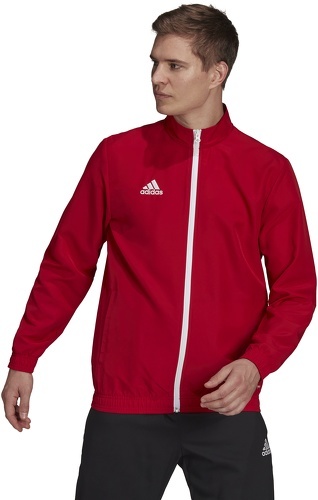 adidas Performance-Ent22 Pre - Veste de football-4